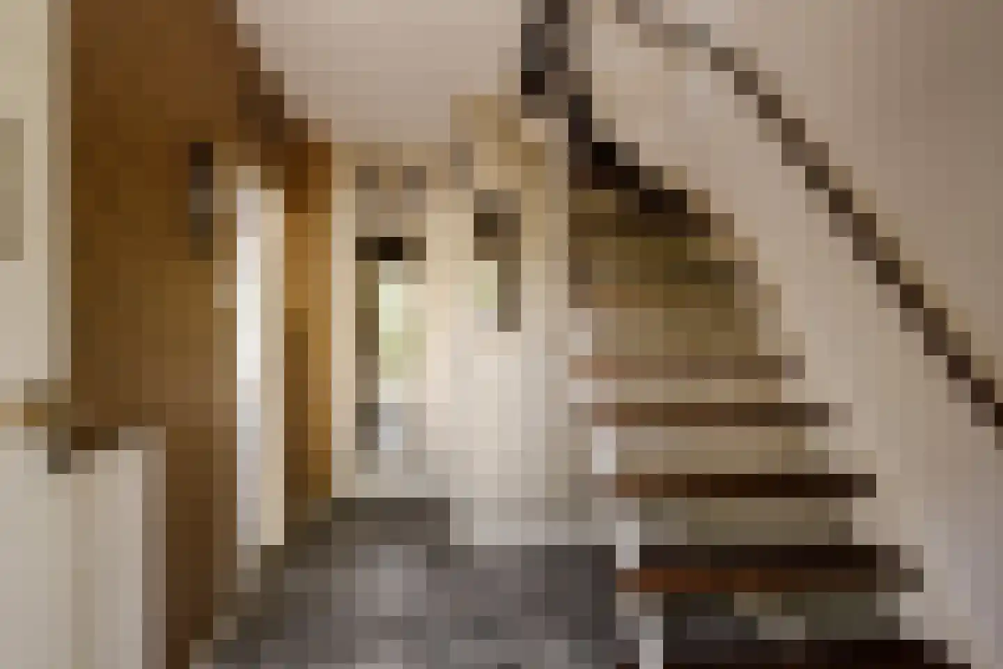 Bennebroekerdijk 267 Cruquius thumbnail 7