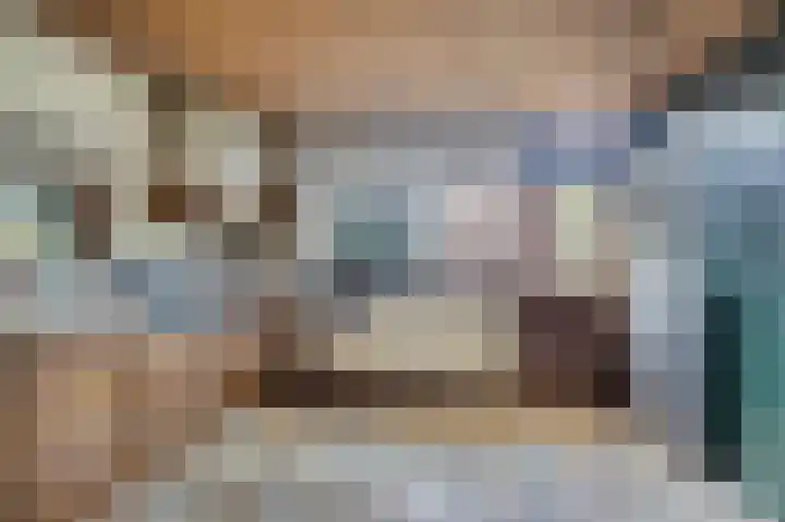 Bennebroekerdijk 80 Zwaanshoek thumbnail 12