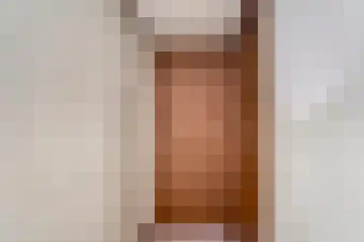Bennebroekerdijk 80 Zwaanshoek thumbnail 19