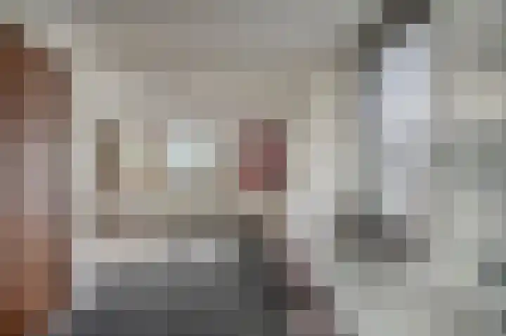 Bennebroekerdijk 80 Zwaanshoek thumbnail 20
