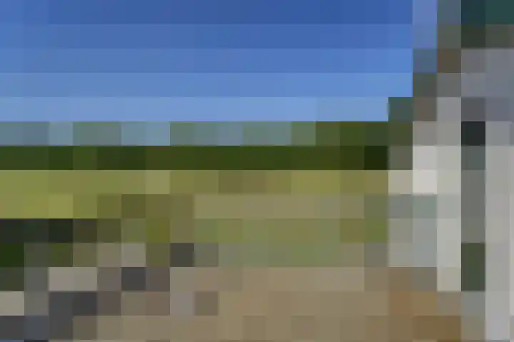 Bennebroekerdijk 80 Zwaanshoek thumbnail 24