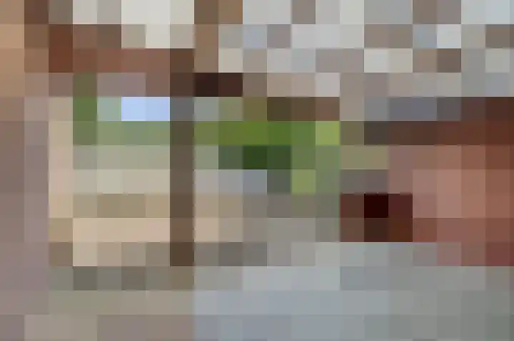 Bennebroekerdijk 80 Zwaanshoek thumbnail 31