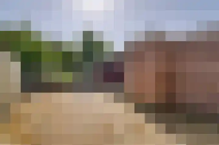 Bennebroekerdijk 80 Zwaanshoek thumbnail 32