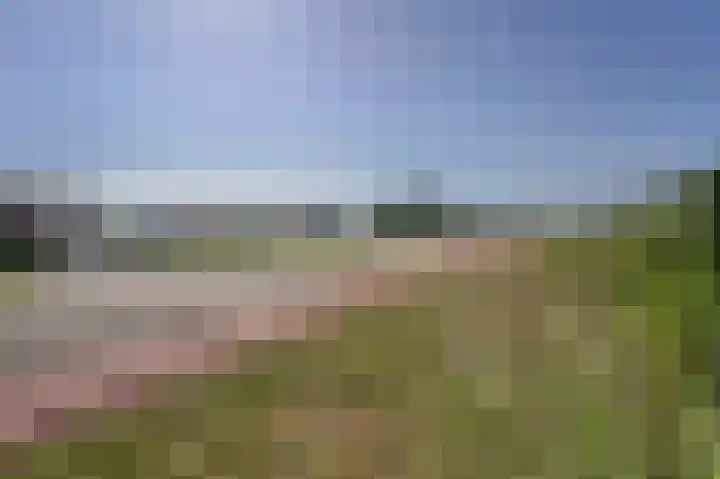 Bennebroekerdijk 80 Zwaanshoek thumbnail 37