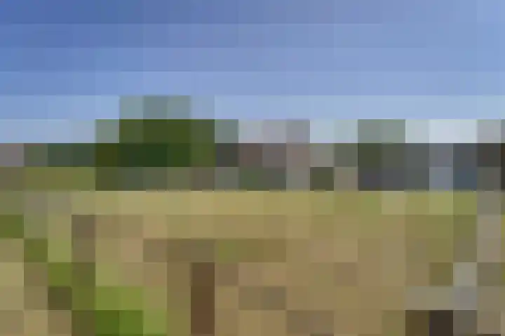 Bennebroekerdijk 80 Zwaanshoek thumbnail 38