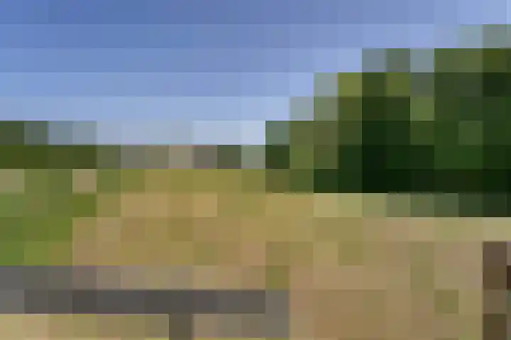 Bennebroekerdijk 80 Zwaanshoek thumbnail 39