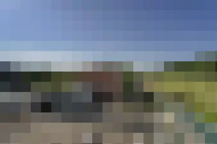 Bennebroekerdijk 80 Zwaanshoek thumbnail 4