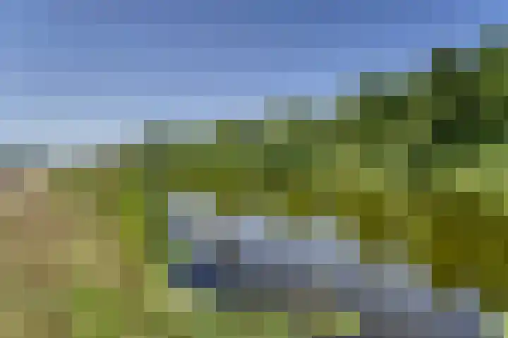 Bennebroekerdijk 80 Zwaanshoek thumbnail 5