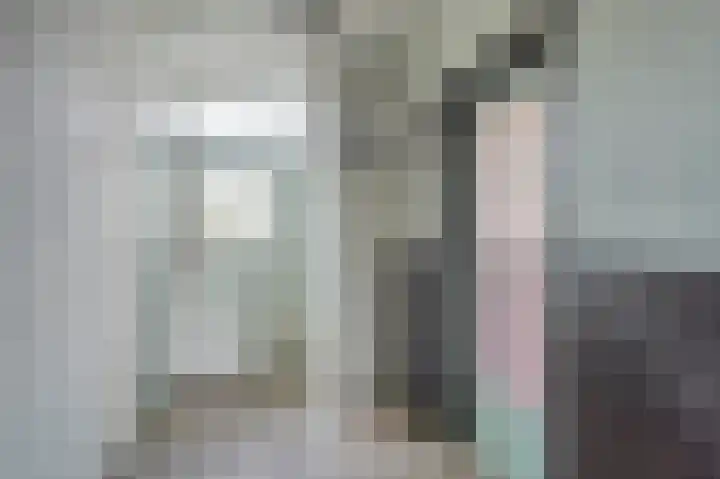 Bennebroekerdijk 80 Zwaanshoek thumbnail 6