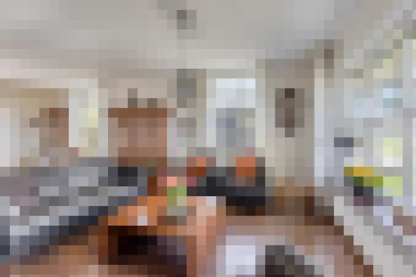 Bennebroekerdijk 98 B Zwaanshoek thumbnail 20