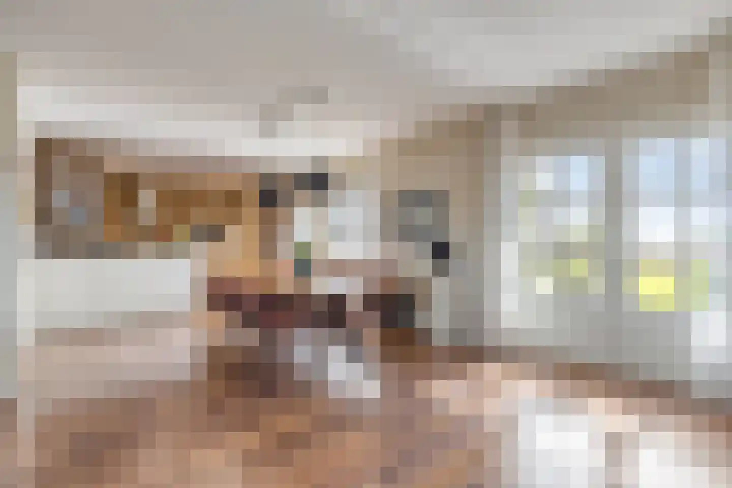 Bennebroekerdijk 98 B Zwaanshoek thumbnail 21