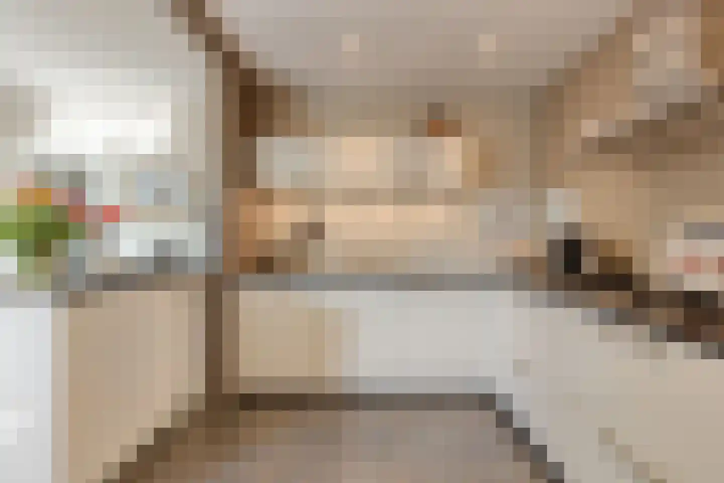 Bennebroekerdijk 98 B Zwaanshoek thumbnail 25