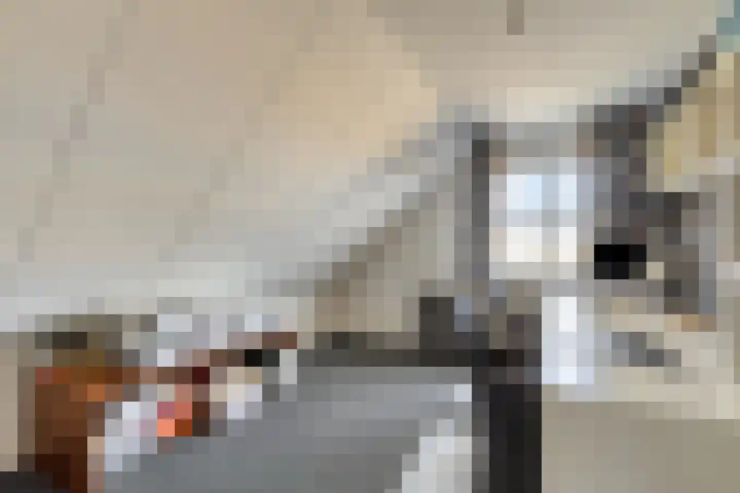 Bennebroekerdijk 98 B Zwaanshoek thumbnail 36