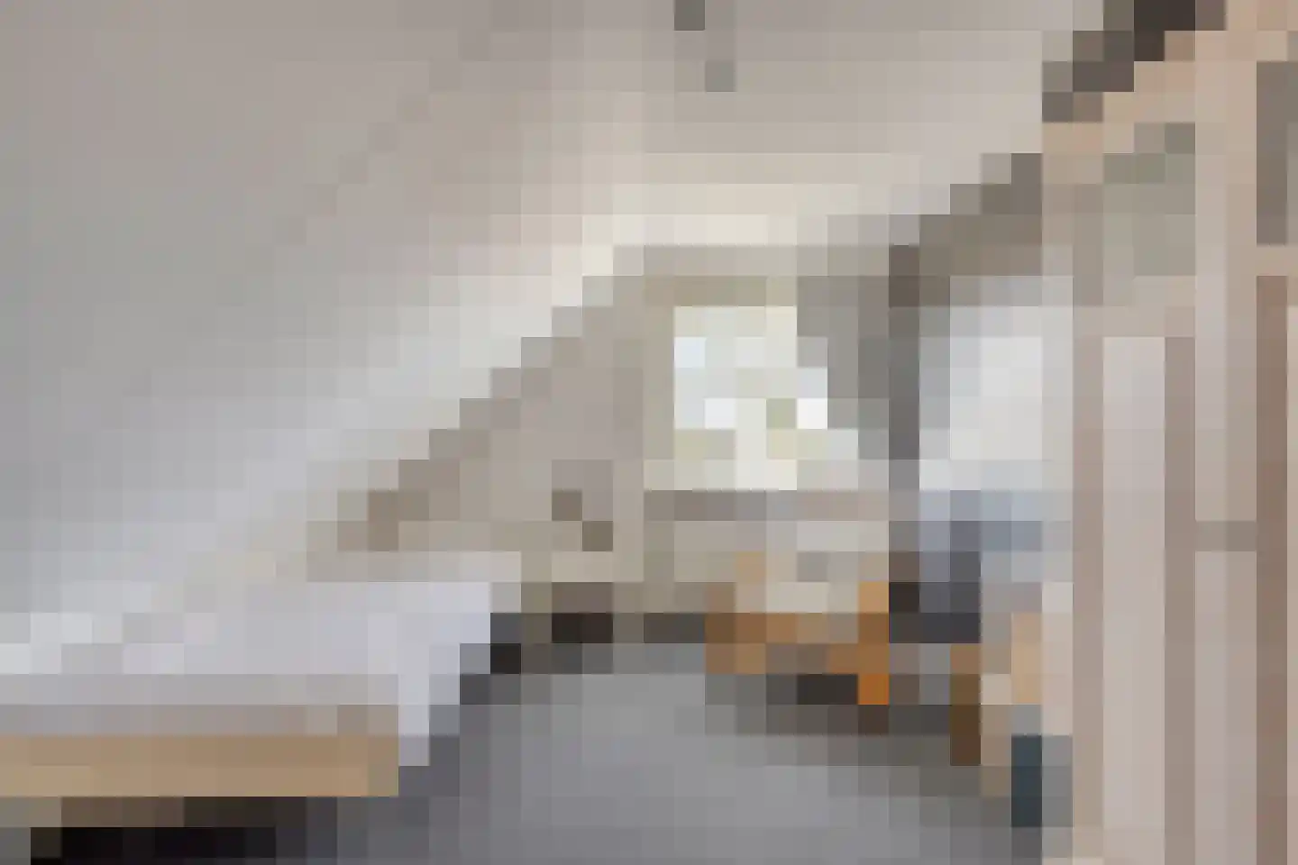 Bennebroekerdijk 98 B Zwaanshoek thumbnail 42