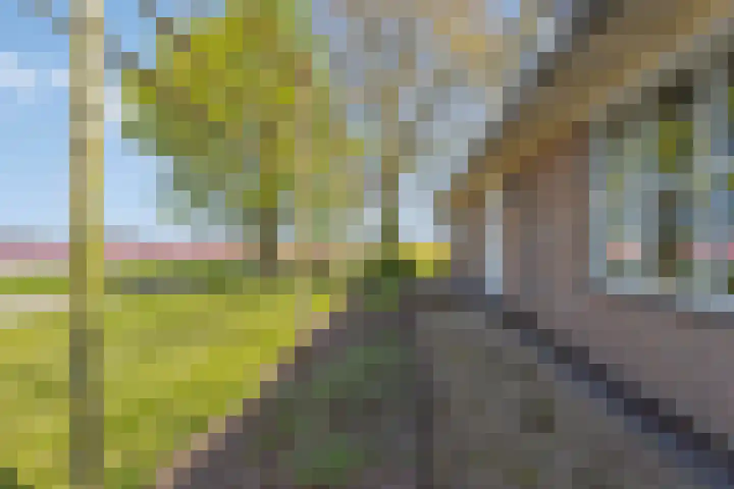 Bennebroekerdijk 98 B Zwaanshoek thumbnail 5