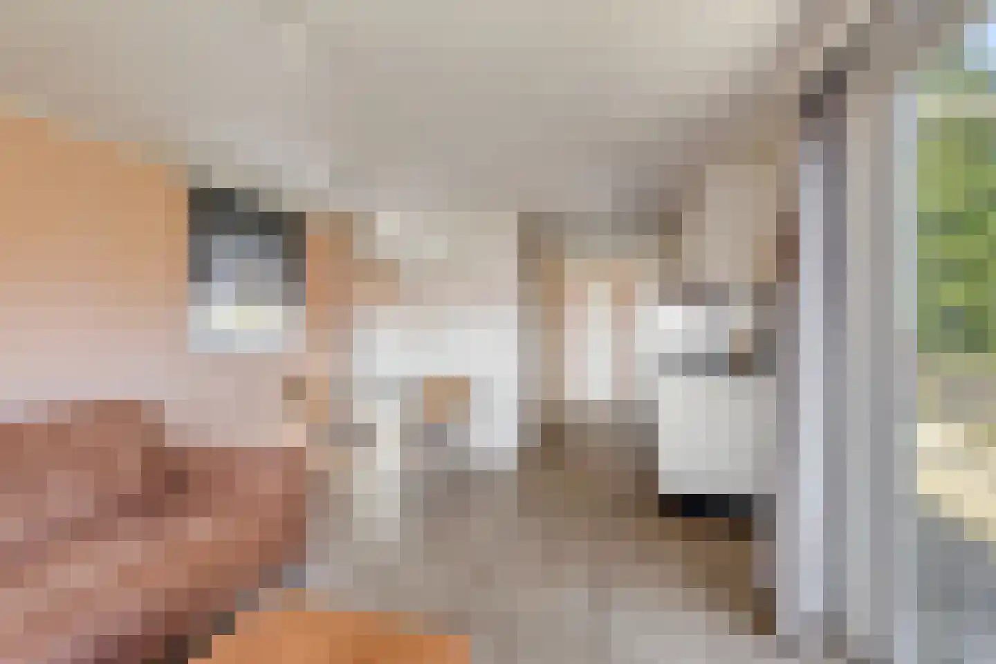 Bennebroekerdijk 98 B Zwaanshoek thumbnail 51