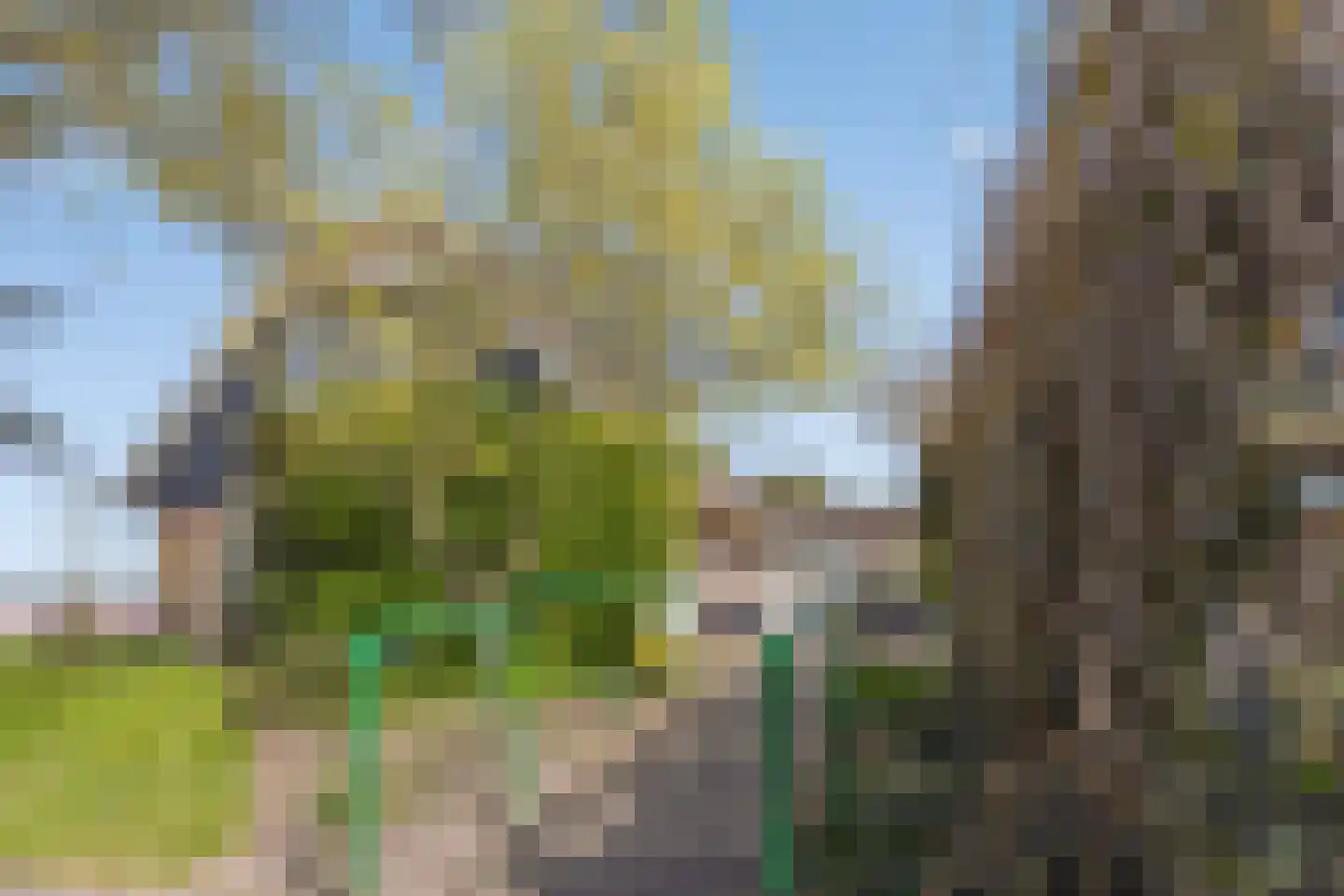 Bennebroekerdijk 98 B Zwaanshoek thumbnail 64