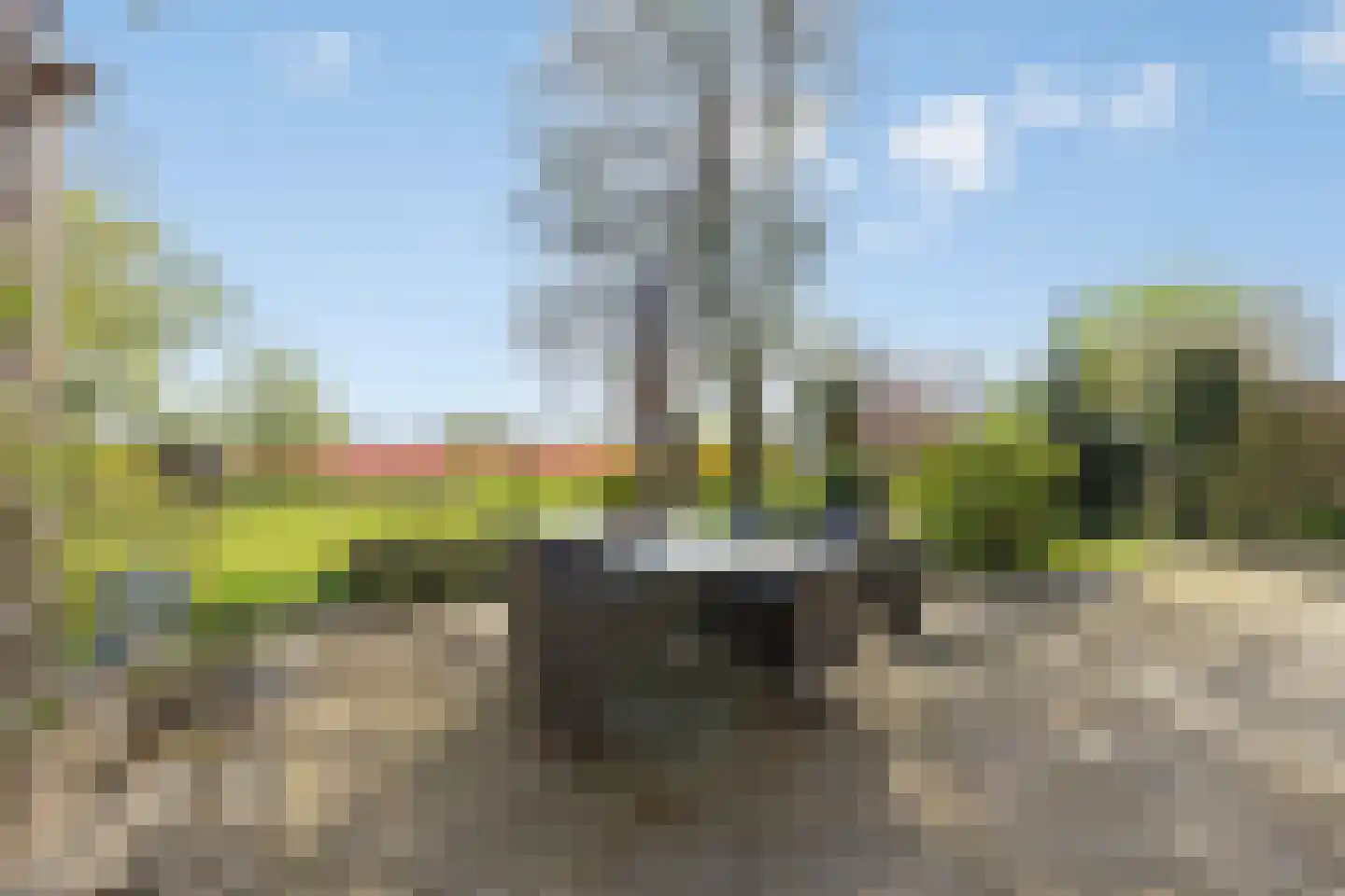 Bennebroekerdijk 98 B Zwaanshoek thumbnail 66