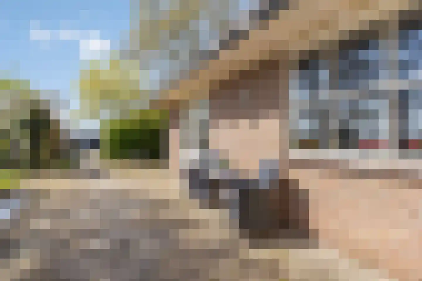 Bennebroekerdijk 98 B Zwaanshoek thumbnail 67