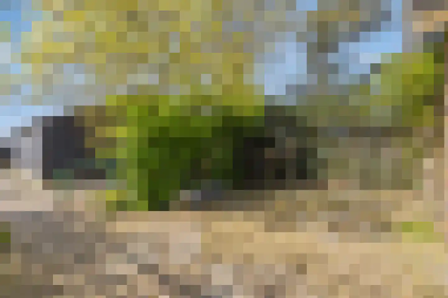 Bennebroekerdijk 98 B Zwaanshoek thumbnail 68