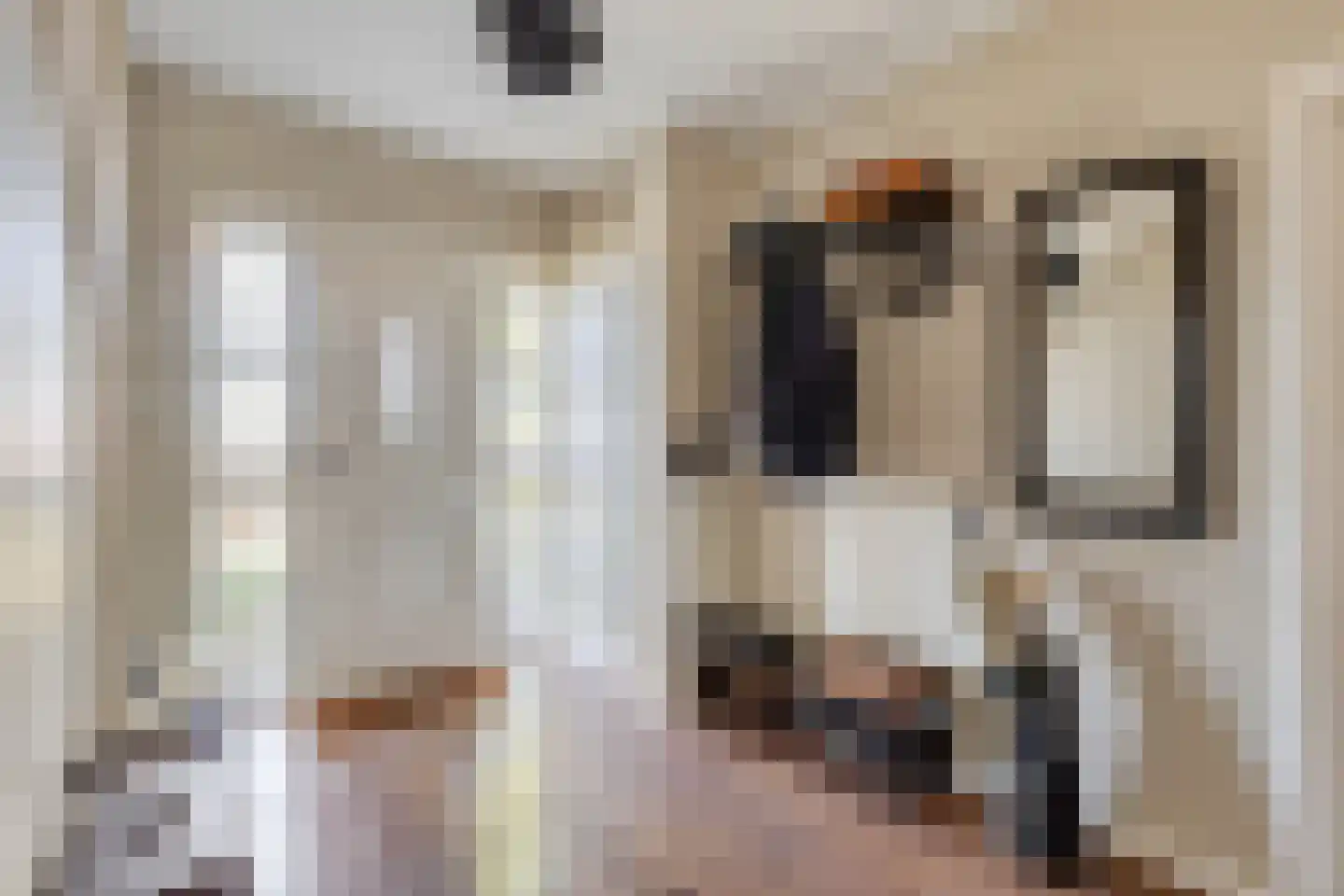 Bennebroekerdijk 98 B Zwaanshoek thumbnail 7