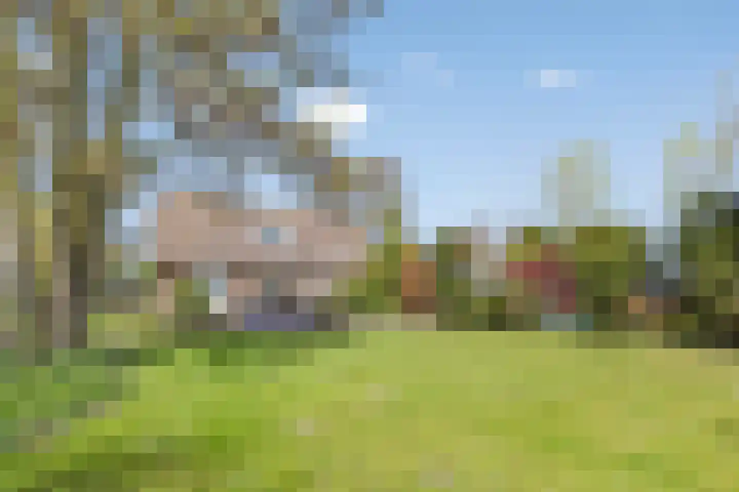 Bennebroekerdijk 98 B Zwaanshoek thumbnail 74