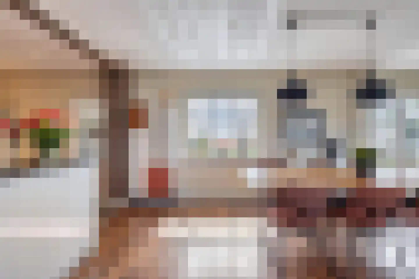 Bennebroekerdijk 98 B Zwaanshoek thumbnail 8