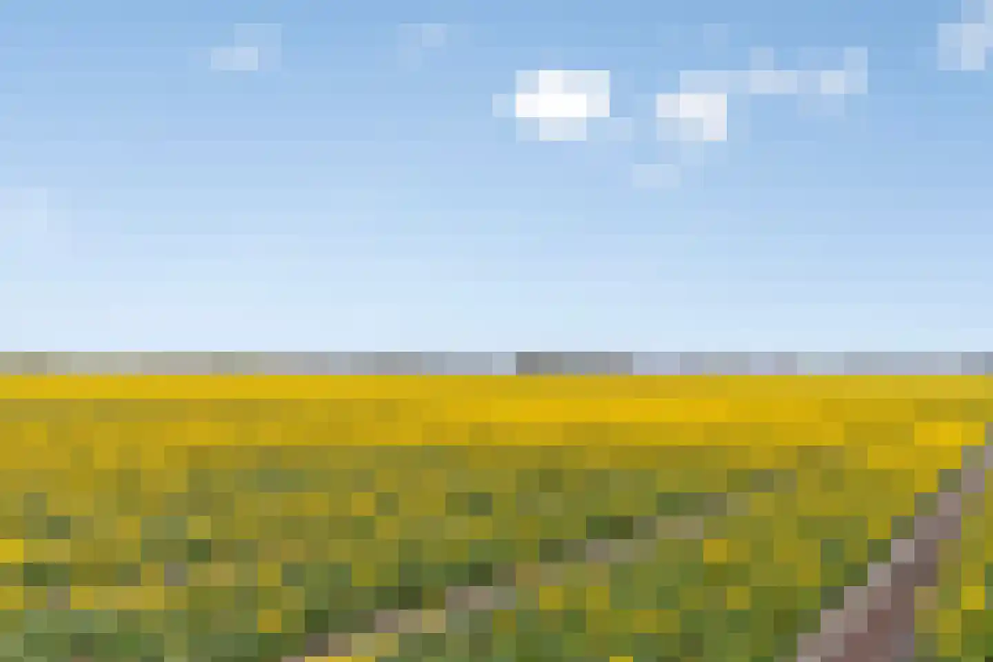 Bennebroekerdijk 98 B Zwaanshoek thumbnail 84