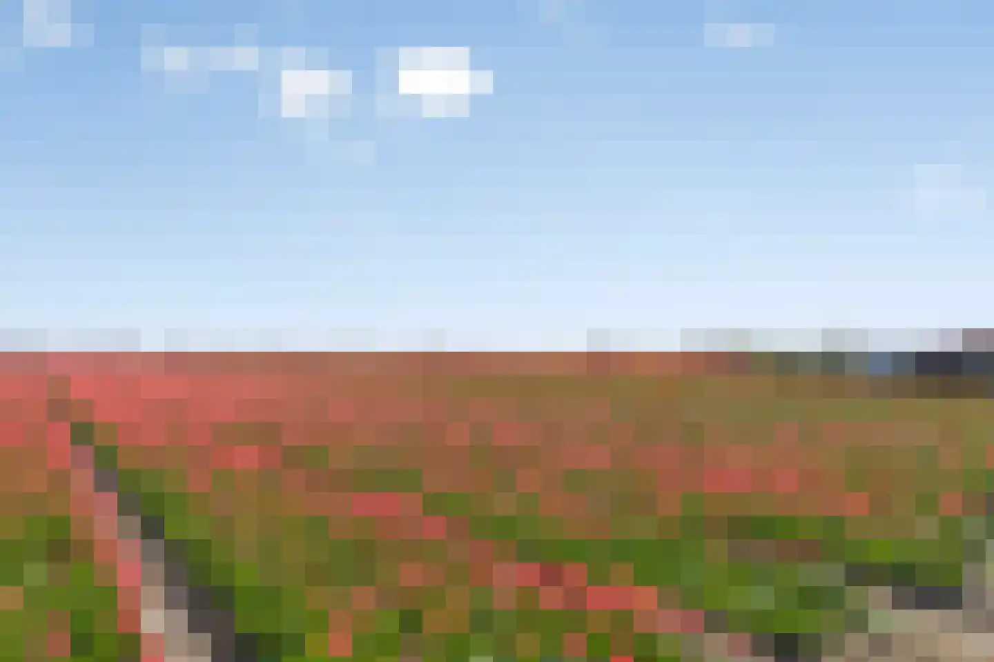 Bennebroekerdijk 98 B Zwaanshoek thumbnail 85