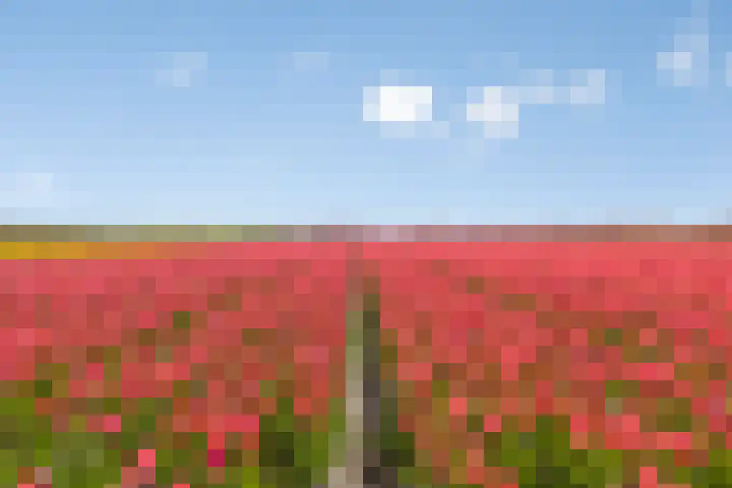 Bennebroekerdijk 98 B Zwaanshoek thumbnail 86