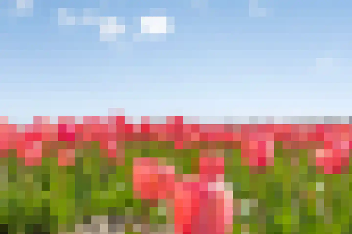Bennebroekerdijk 98 B Zwaanshoek thumbnail 87