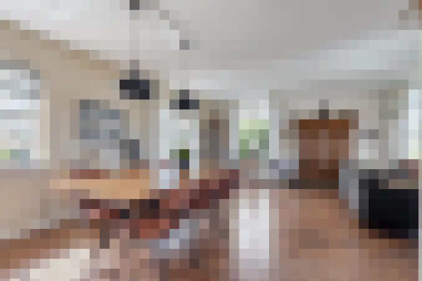 Bennebroekerdijk 98 B Zwaanshoek thumbnail 9