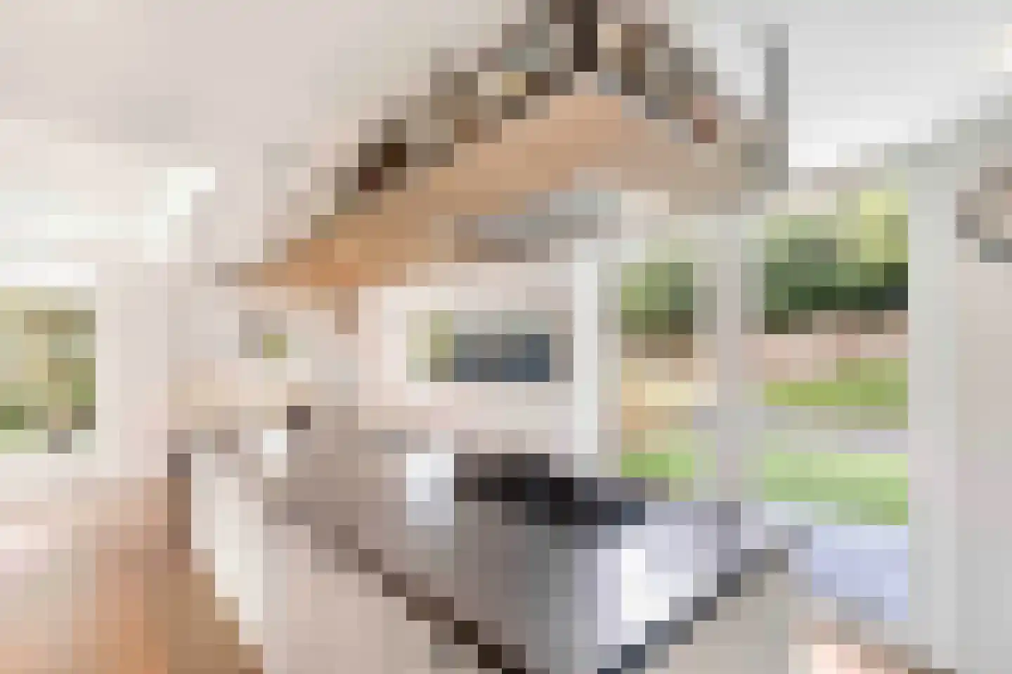 Bennebroekerdreef 2 Bennebroek thumbnail 10