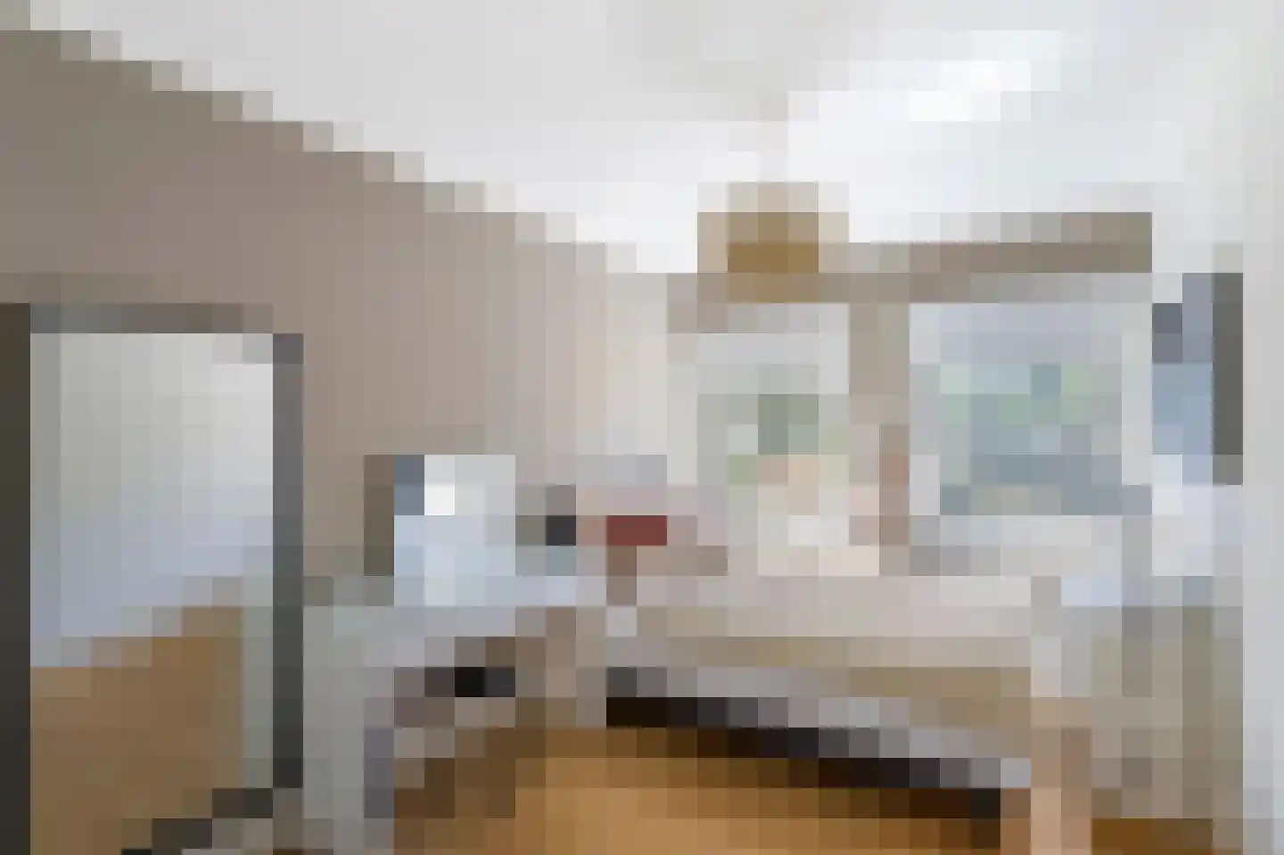 Bennebroekerdreef 2 Bennebroek thumbnail 24