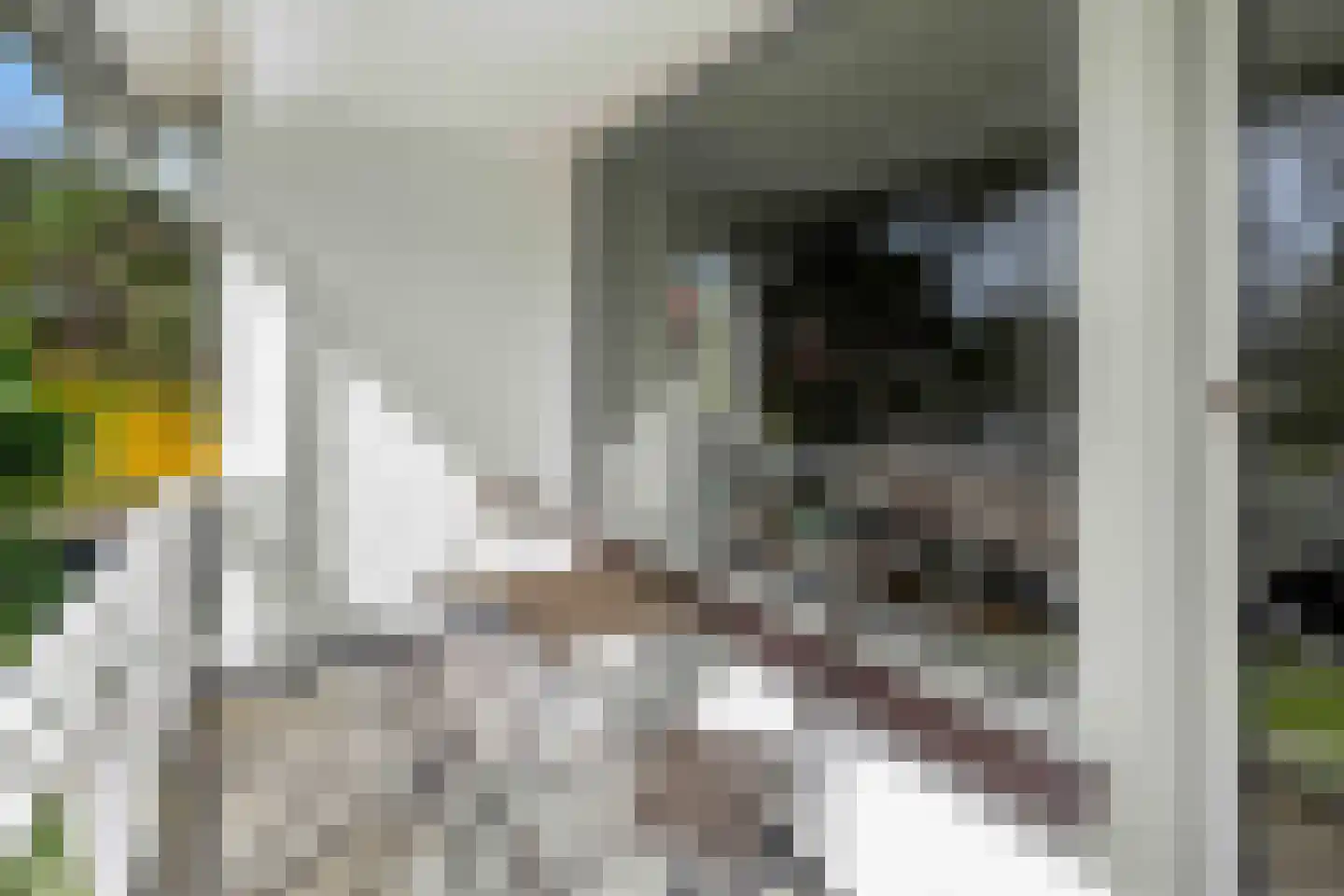 Bennebroekerdreef 2 Bennebroek thumbnail 30