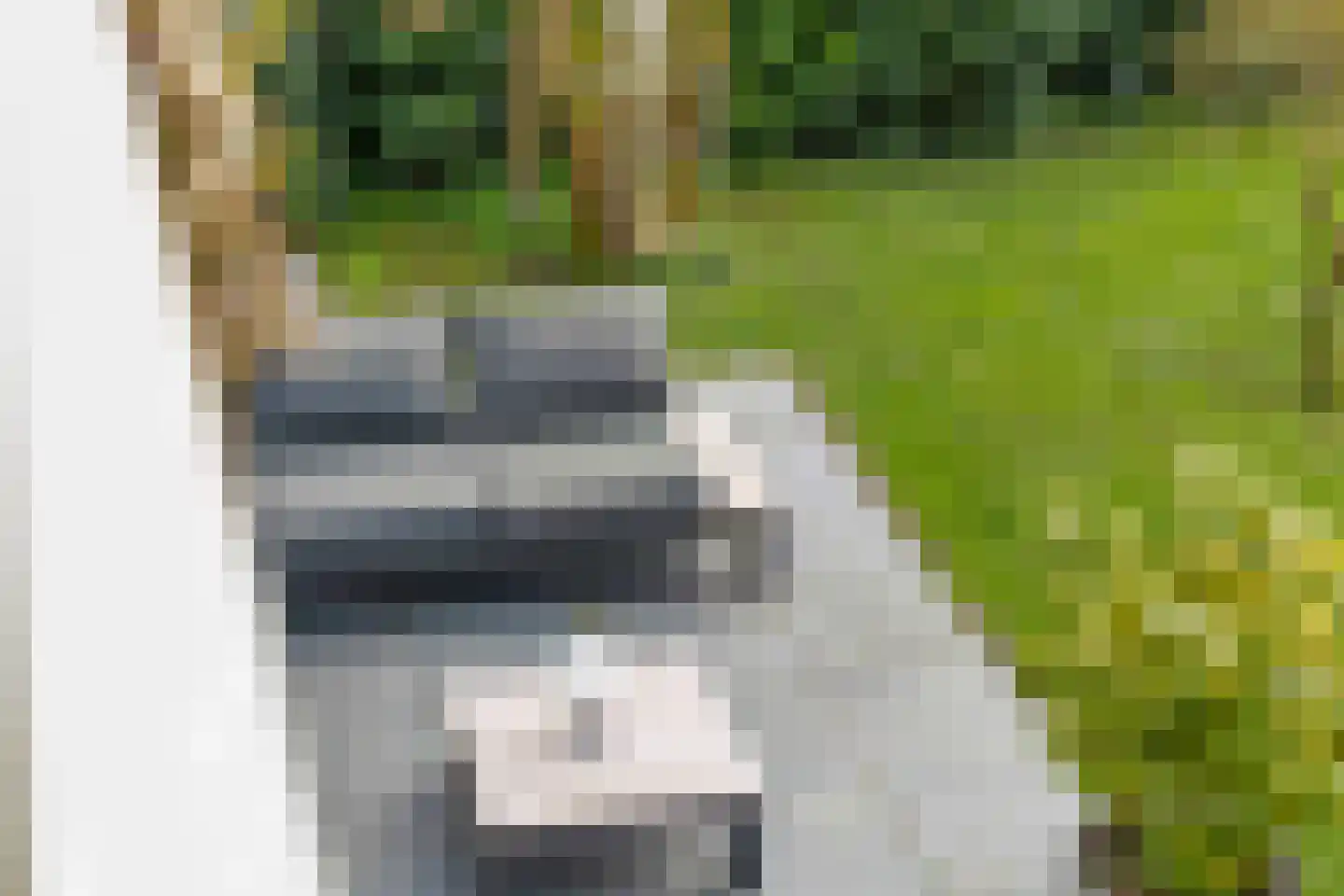 Bennebroekerdreef 2 Bennebroek thumbnail 41