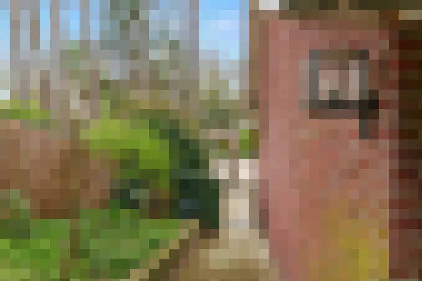 Bennebroekerdreef 2 Bennebroek thumbnail 42