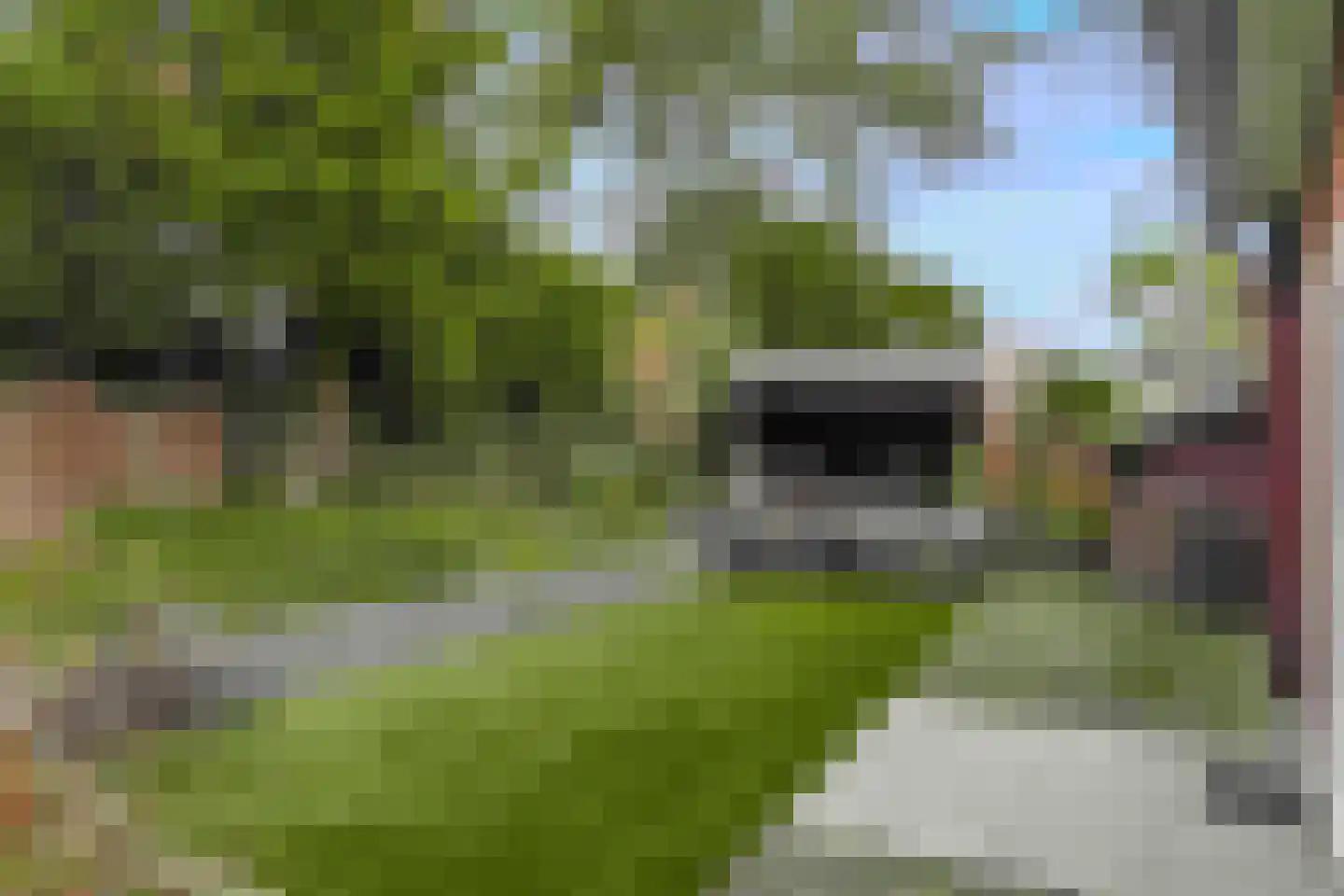 Bennebroekerdreef 2 Bennebroek thumbnail 45