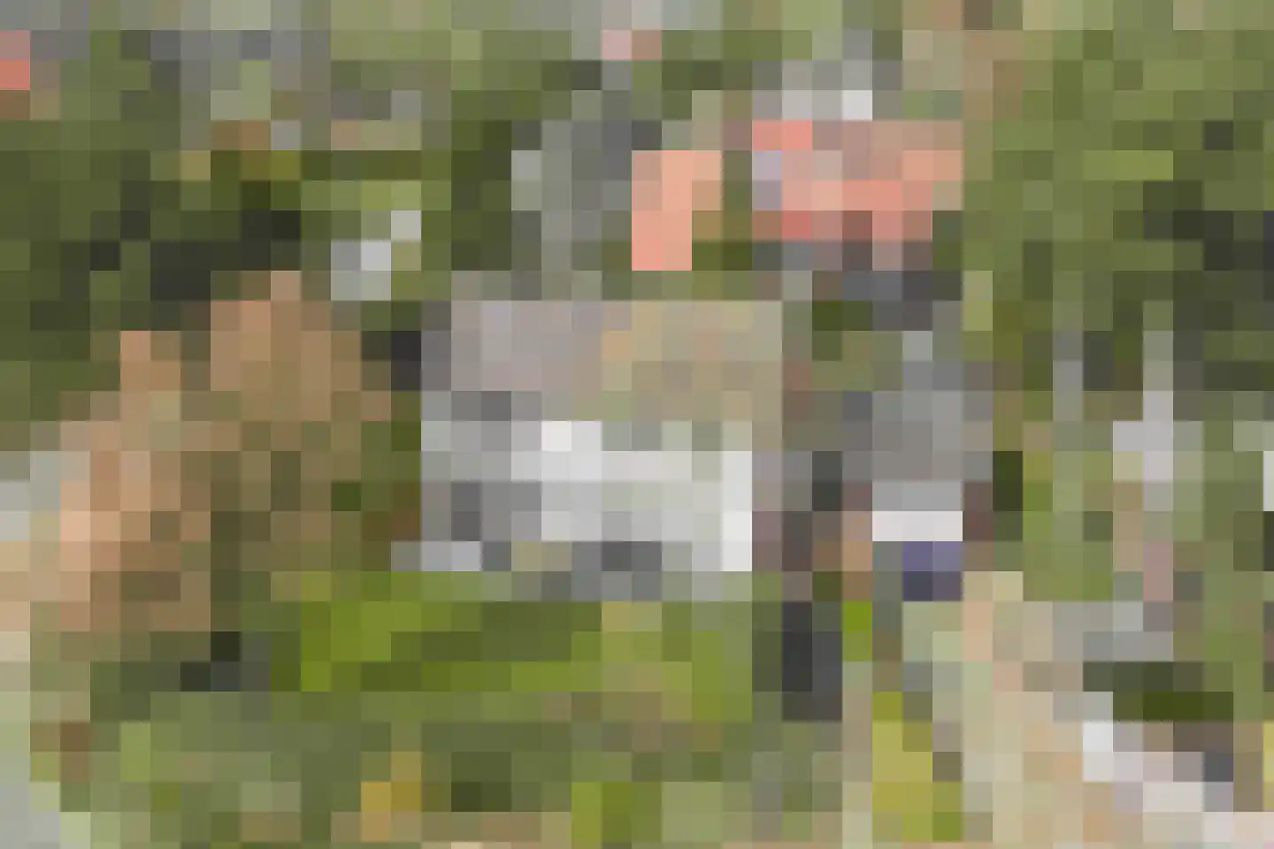 Bennebroekerdreef 2 Bennebroek thumbnail 56