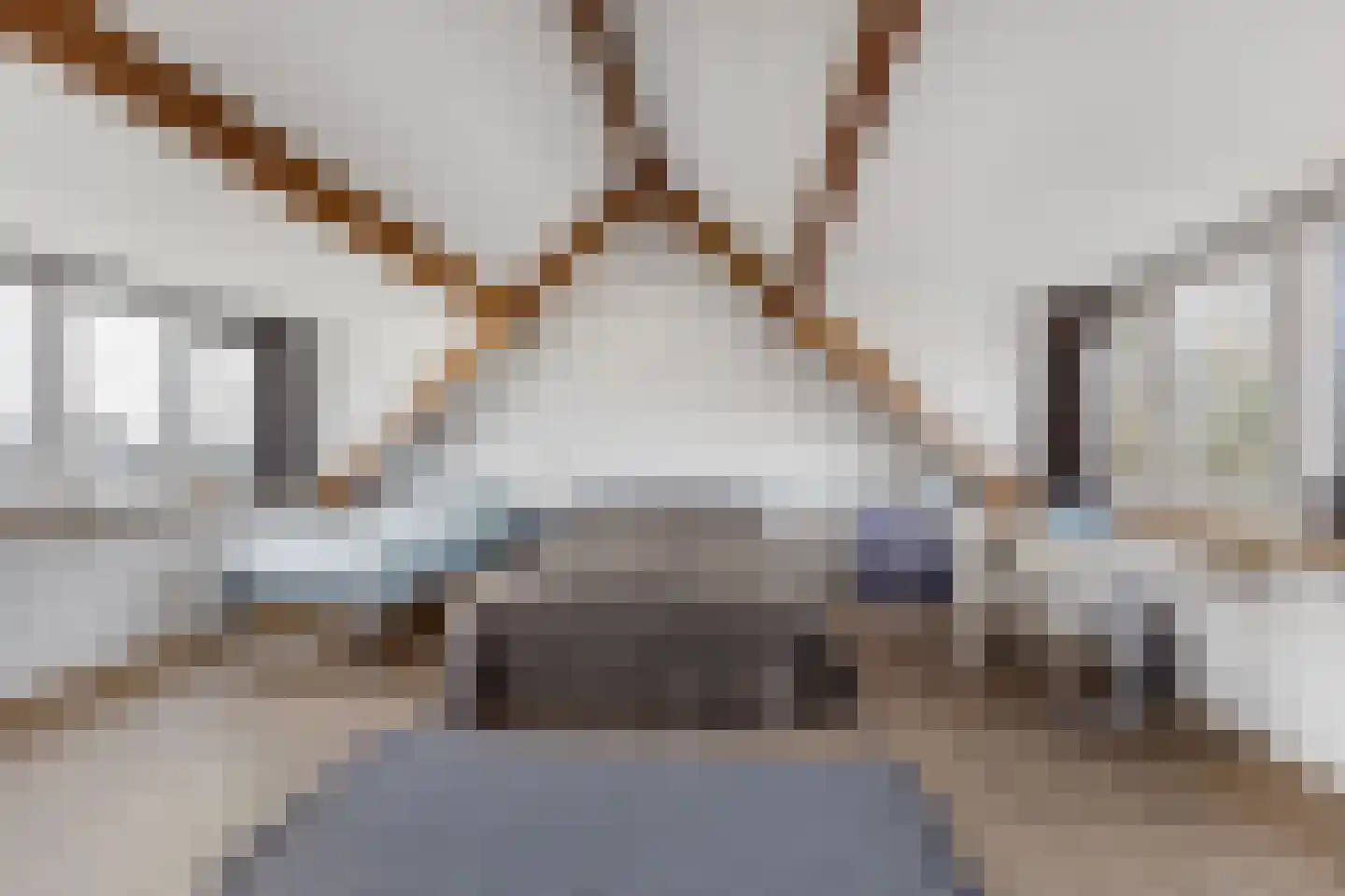 Bennebroekerdreef 20 Bennebroek thumbnail 19