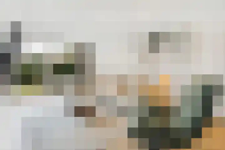 Bennebroekerdreef 22 Bennebroek thumbnail 15