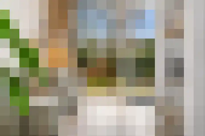 Bennebroekerdreef 22 Bennebroek thumbnail 19
