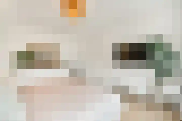 Bennebroekerdreef 22 Bennebroek thumbnail 32