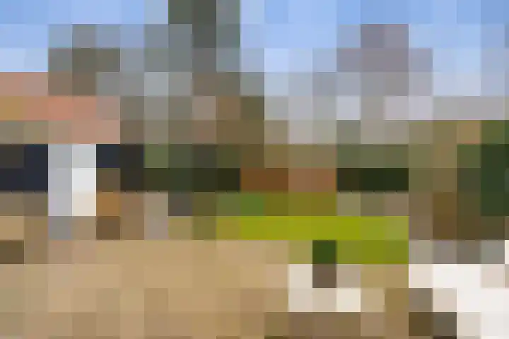 Bennebroekerdreef 22 Bennebroek thumbnail 4