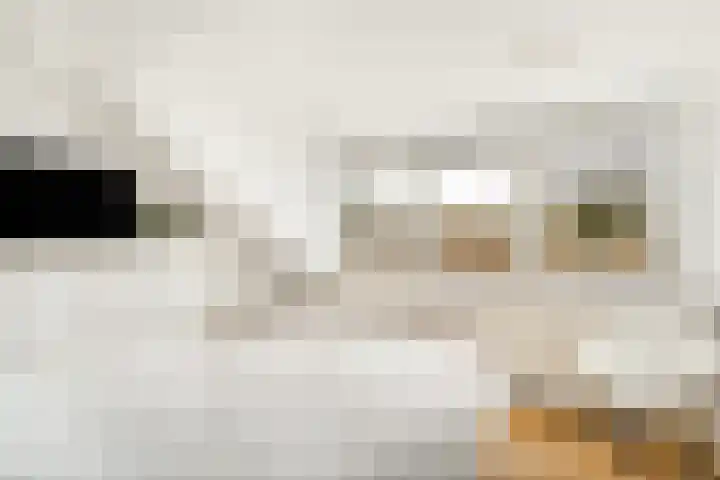 Bennebroekerdreef 22 Bennebroek thumbnail 43