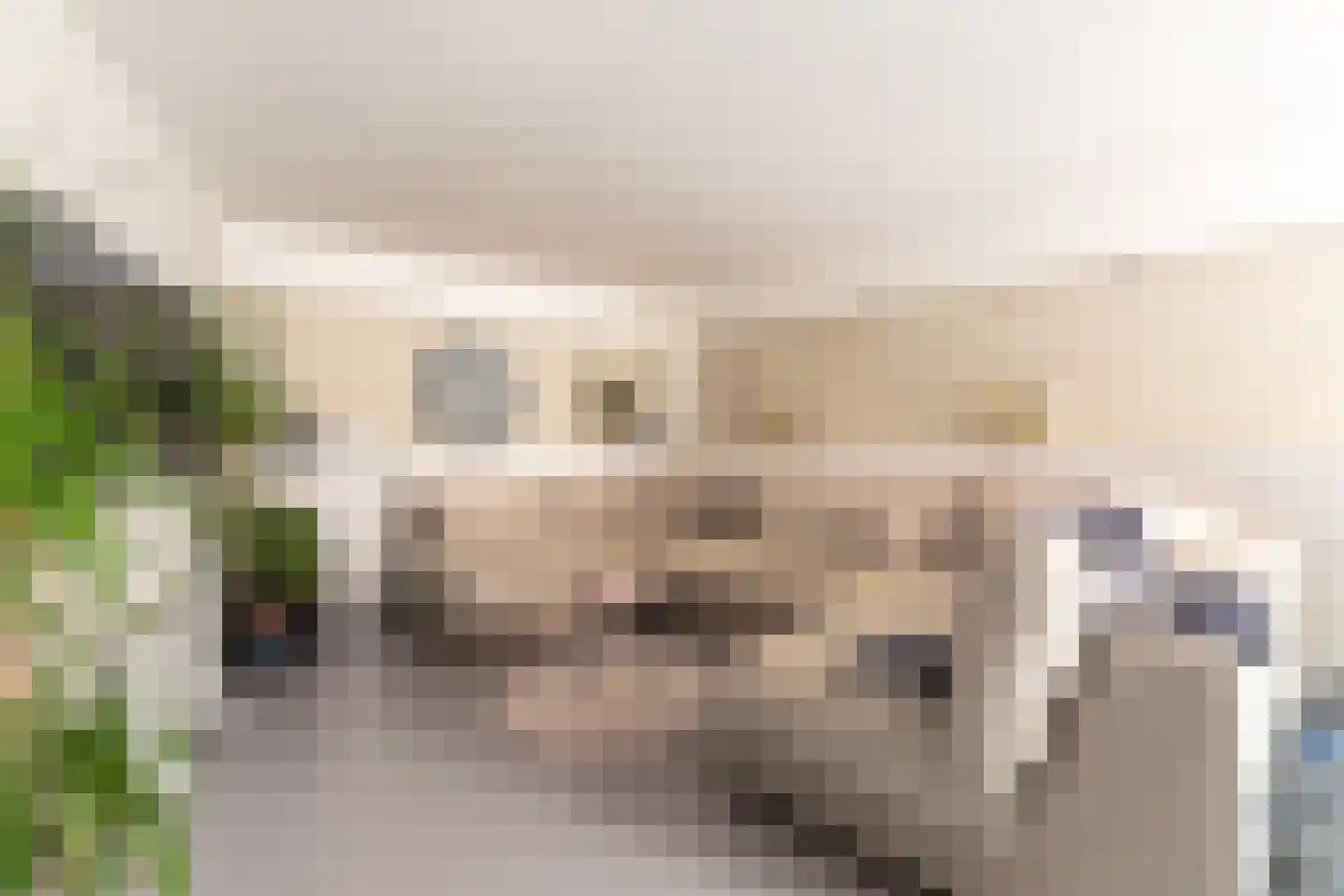 Bennebroekerdreef 33 Bennebroek thumbnail 17