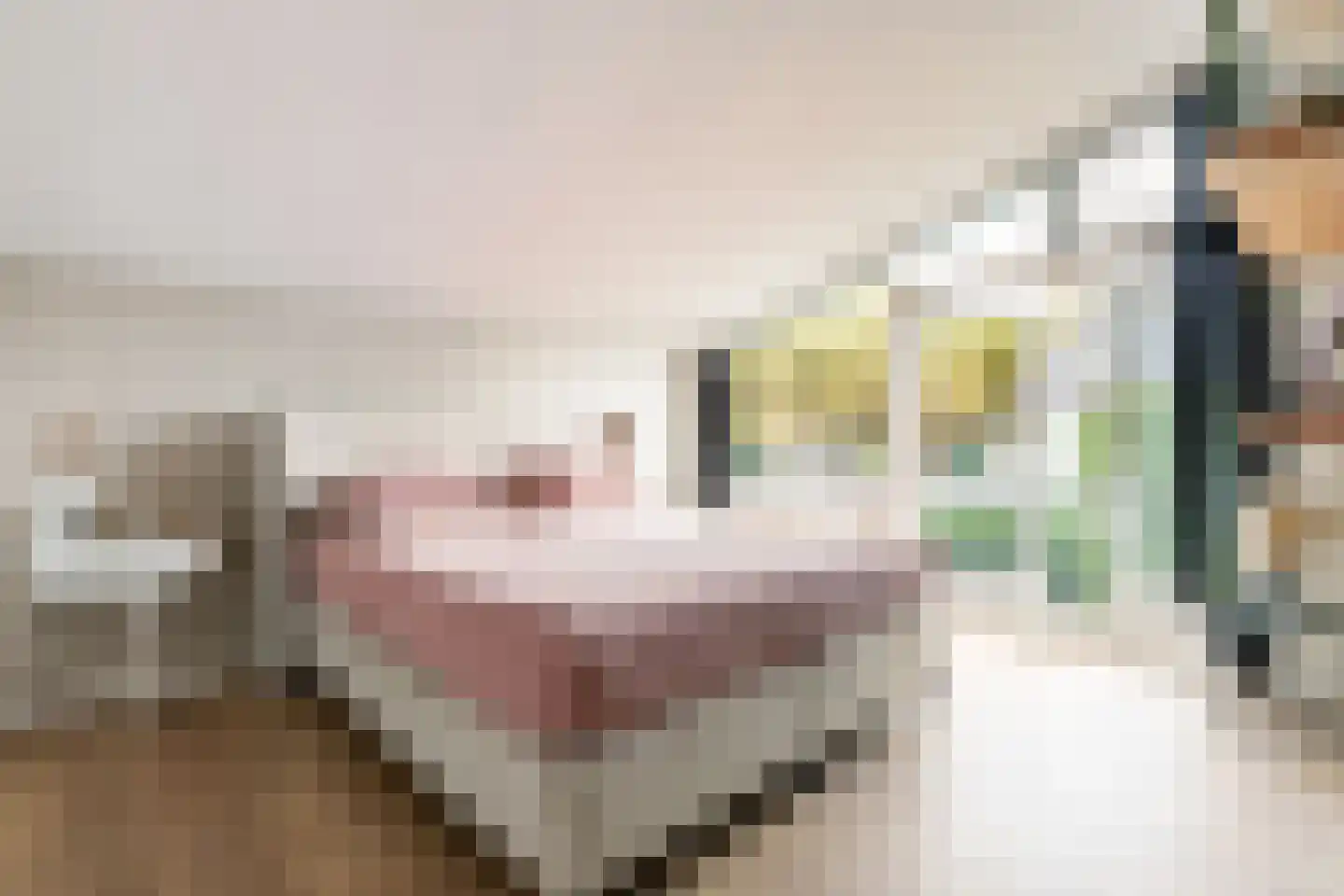 Bennebroekerdreef 33 Bennebroek thumbnail 23