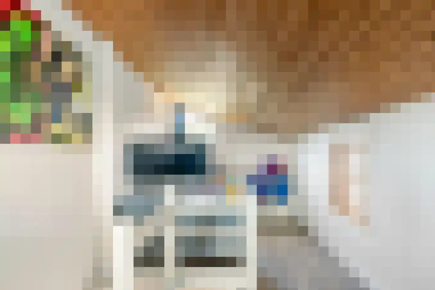 Bennebroekerdreef 33 Bennebroek thumbnail 31