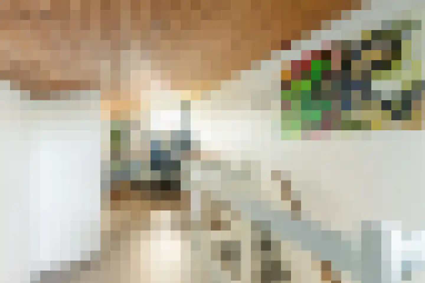 Bennebroekerdreef 33 Bennebroek thumbnail 33
