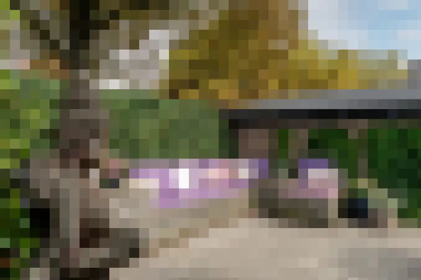 Bennebroekerdreef 33 Bennebroek thumbnail 41